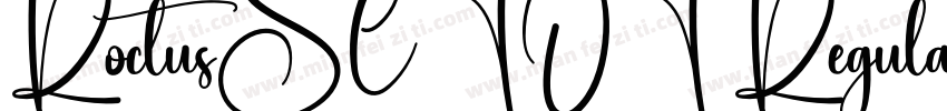 RoctusSCTOT Regular字体转换